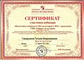 Сертификат участника вебинара по теме "Подготовка к ГИА по истории в 2015 г. средствами УМК "Сферы" по истории" (27.03.2015) Сертификат участника вебинара по теме "Подготовка к ГИА по истории в 2015 г. средствами УМК "Сферы" по истории" (27.03.2015)